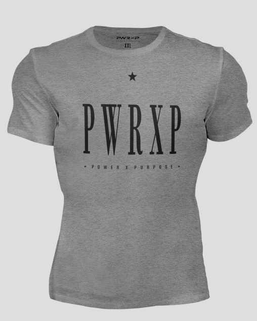 PWRXP FLEX T-SHIRT (Grey)