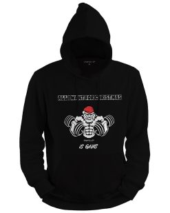 PWRXP Christmas Gains Hoodie